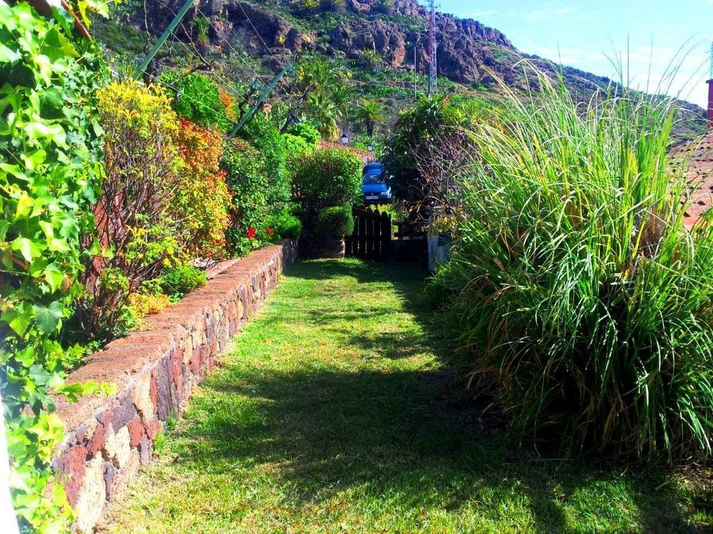 アラヘロ El Drago Rural Houseゲストハウス 部屋 写真